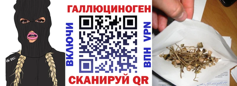 мега как войти Усть-Лабинск Галлюциногенные грибы мицелий дарнет шоп